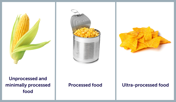 20260428_KHI_Food_processing_journey
